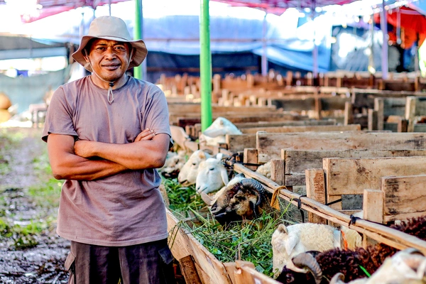 How Local Farms Ensure Zabiha Standards