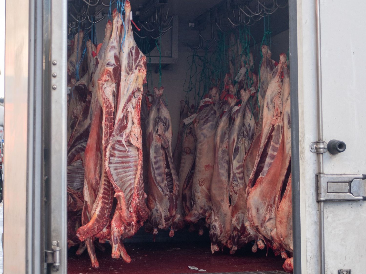 Understanding Zabiha: The Halal Method of Slaughter
