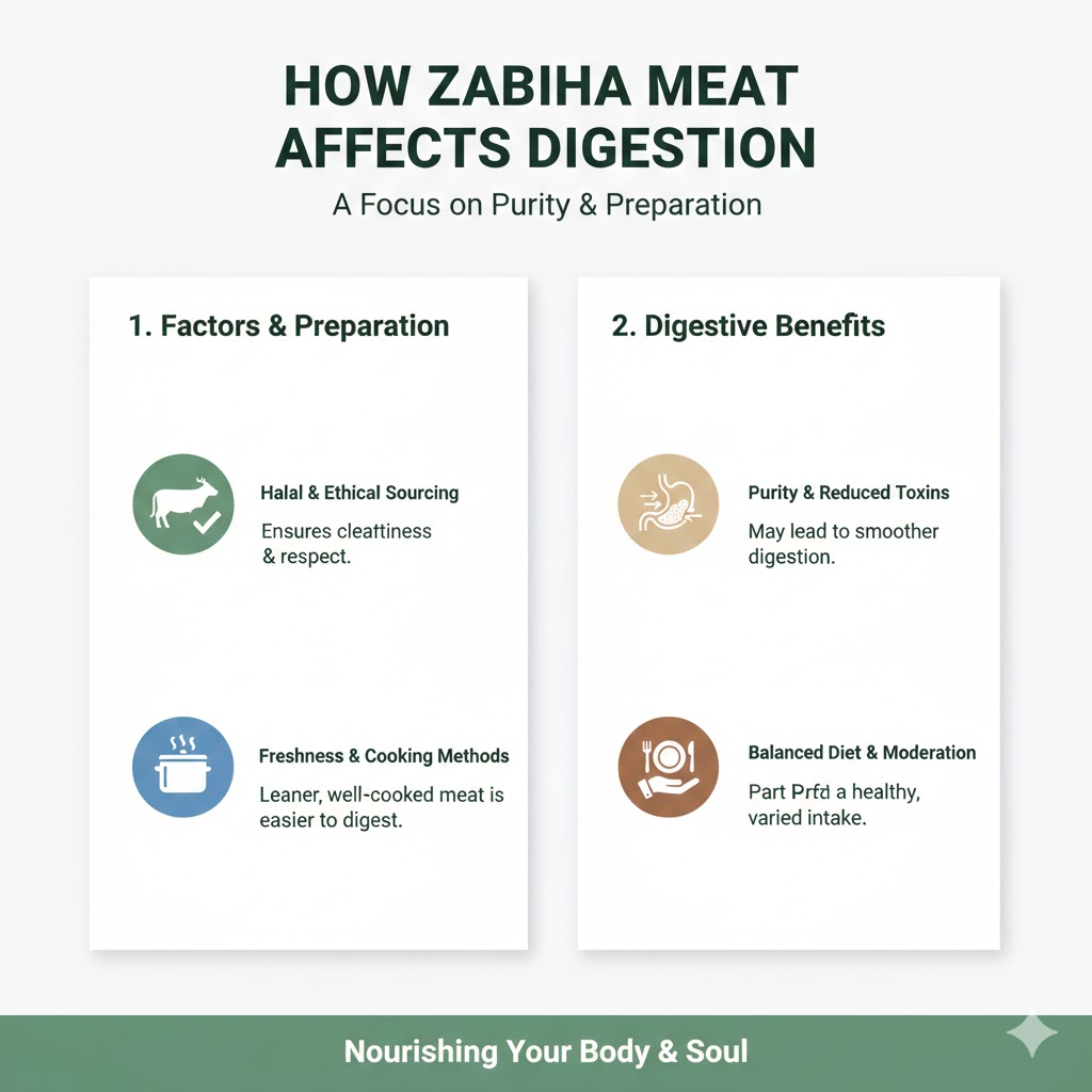 How Zabiha Meat Affects Digestion